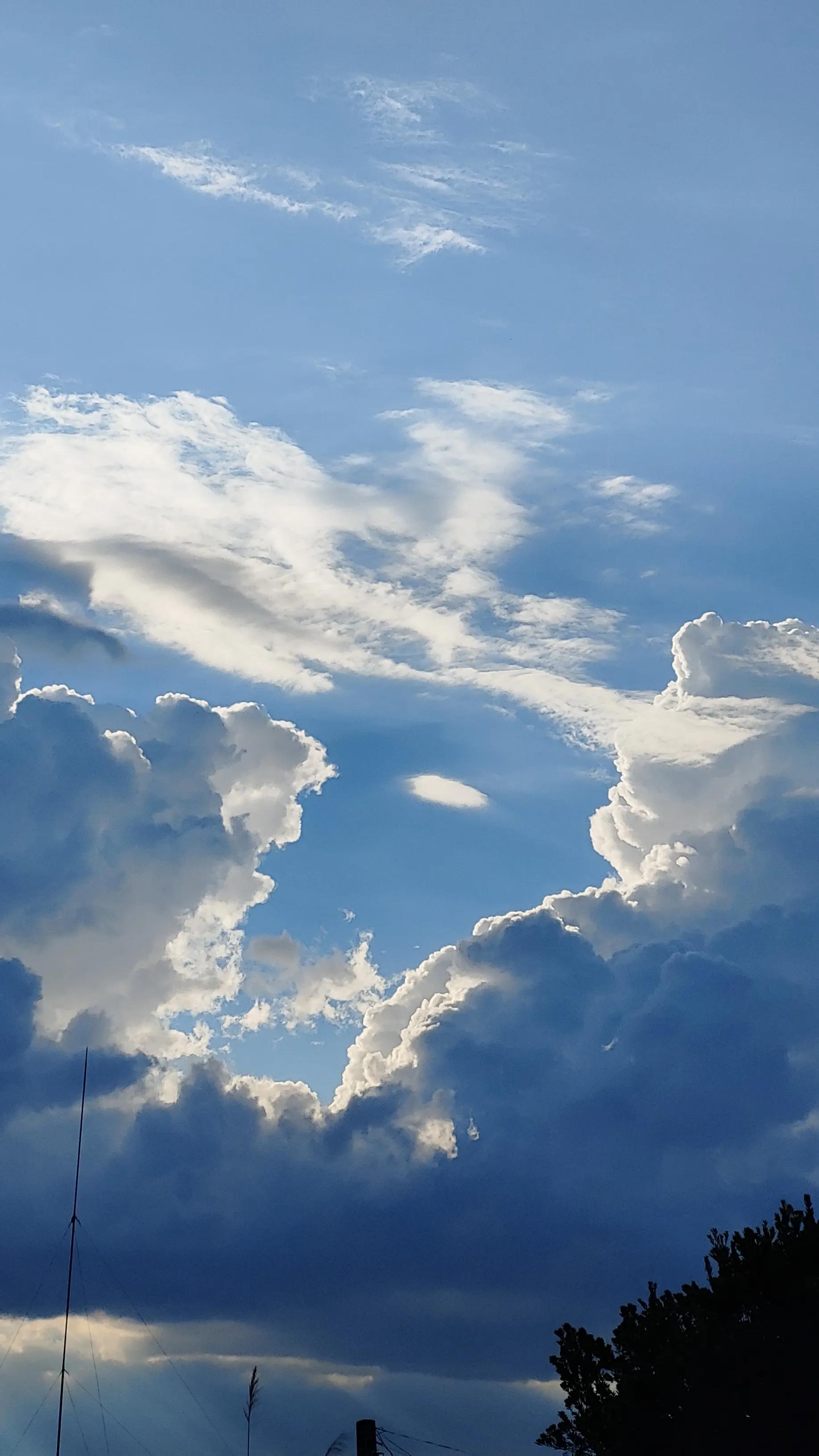 曼珠沙华和曼陀罗哪个有毒 (曼珠沙华可以在室内种吗有毒吗)