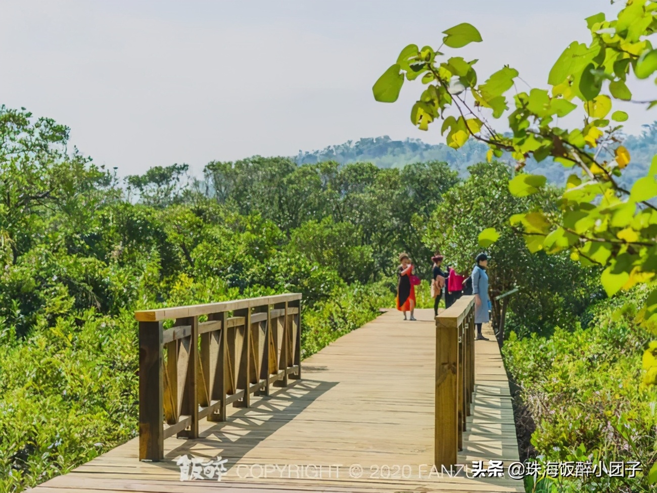 珠海最值得去的地方旅游攻略,珠海十大绝美夜景