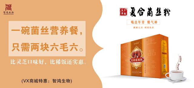 白桦茸养生价值,白桦茸提取物科普