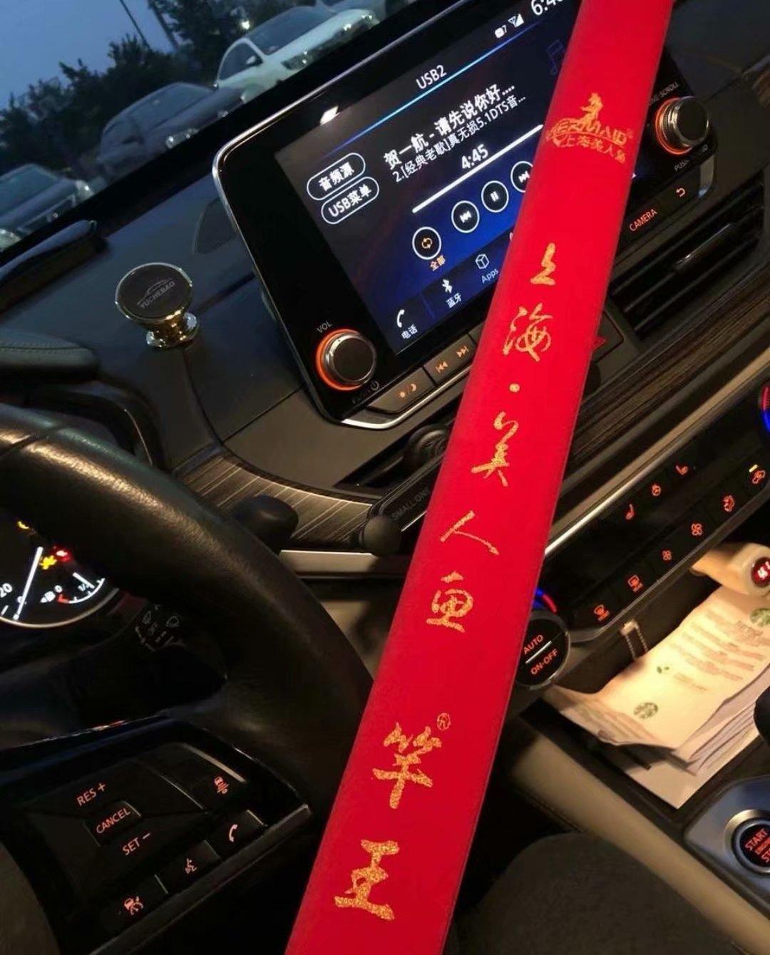 宝飞龙银龙鲤调性,银龙鲤和波纹鲤