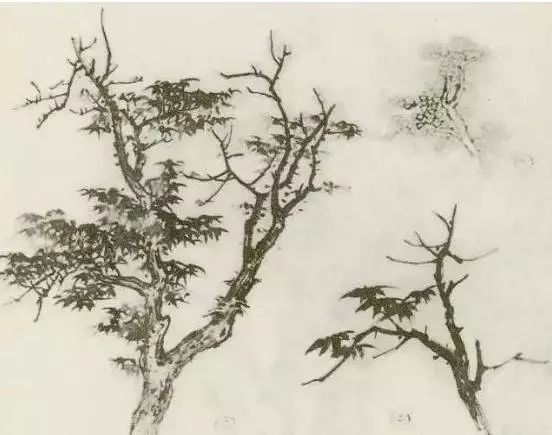 怎样画树画得好看,怎么画树最简单而且还最好看