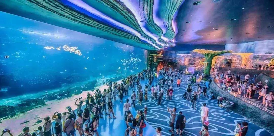 游玩珠海长隆海洋王国住企鹅酒店,珠海长隆旅游民宿推荐