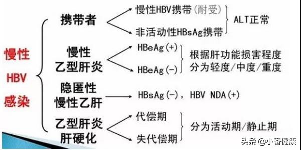 乙肝新药taf治愈乙肝的概率,乙肝治疗药物tdf