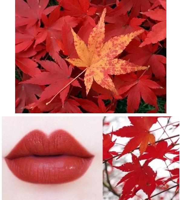 衣服买多少也不嫌多,买到好多衣服没怎么穿