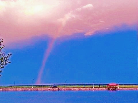东北种地大户一年能赚多少钱,东北农民种植真实收入