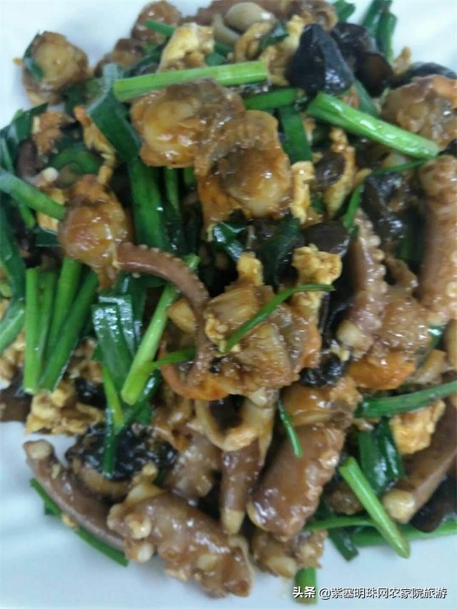 天津滨海新区吃海鲜渔村,天津滨海吃皮皮虾