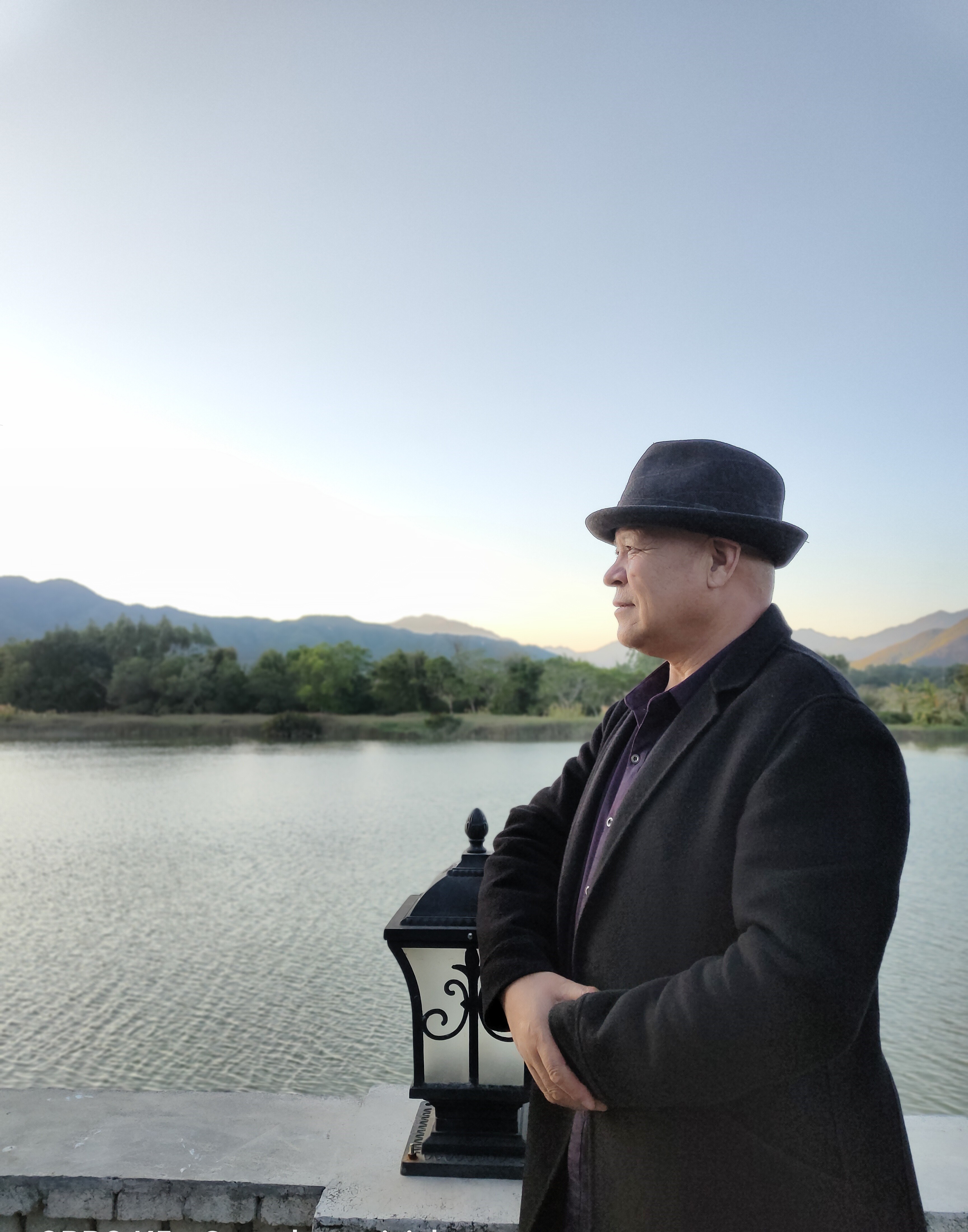 马成义——《众志成城共抗疫情》著名爱国艺术家书画作品展播