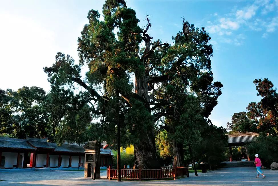 走进13万守陵儿女的幸福生活——延安市黄陵县经济社会发展纪实