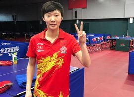 中国乒乓球队历届世界冠军一览表,中国乒乓球世界冠军一览表图