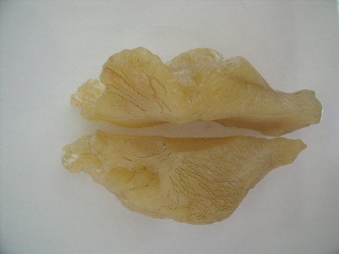 新疆罗布泊有戈壁石吗,新疆罗布泊哪些石头比较值钱