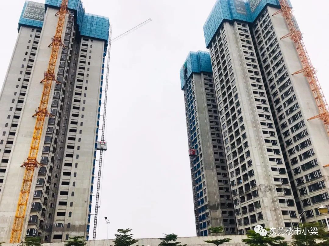 东莞碧桂园玫瑰臻园怎么样,东莞市碧桂园玫瑰臻园