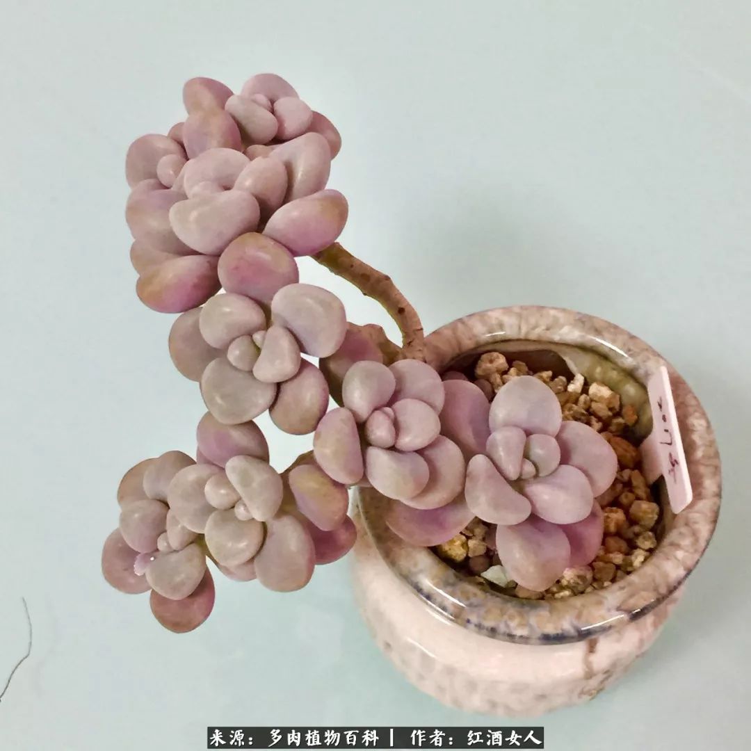 记录走过的美景留下美好的回忆,记录走过的每一段美好时光