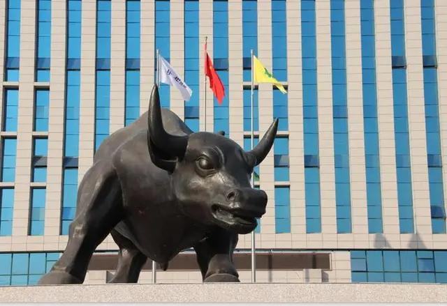 优德控股集团孟琪,河南优德控股集团董事长