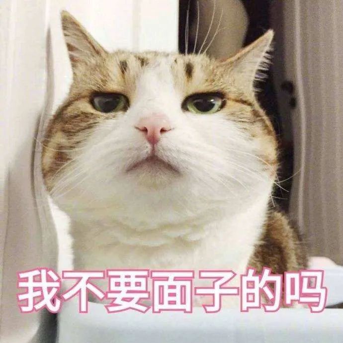 猫屎猫尿这么臭怎么办,猫在猫砂盆里大便臭吗