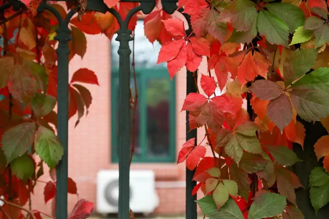 人大硕士值得上吗,人大硕士的难度