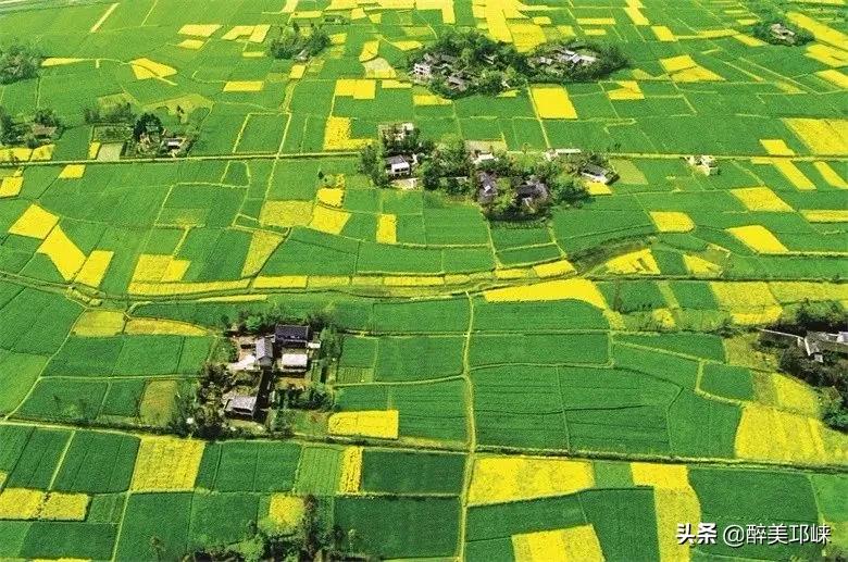 为什么有的人投资眼光很准,为什么越来越多的资本想投资酱酒