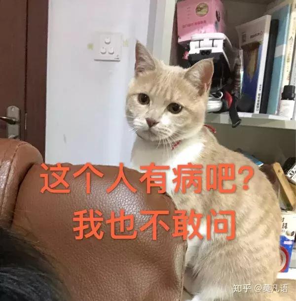 如果舔猫一口猫会怎样,猫猫能舔到全身吗