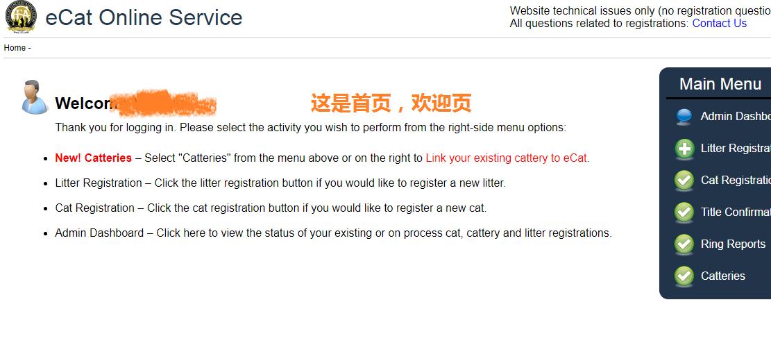 花重金买猫,花高价买的猫