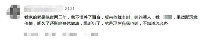 用百合花帮爱猫发情？母猫却因此出现肾衰竭，需知此为“毒花”