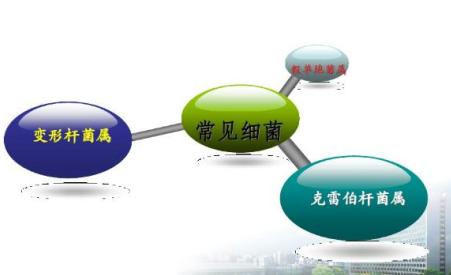 感染性结石会导致尿路持续感染吗,感染性结石用冲击波碎石好碎吗