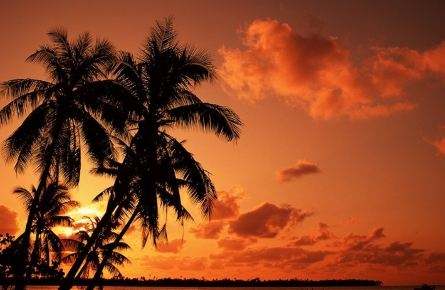 我多想遇见你,多想遇见你