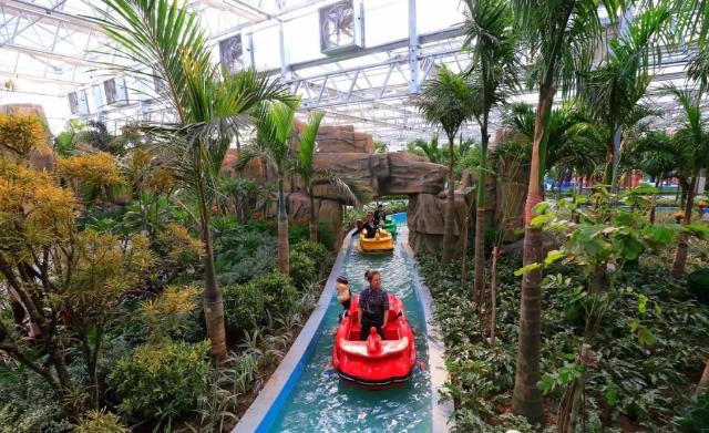 五一北京适合小孩玩的地方植物园,北京夏天带娃避暑最佳旅游地