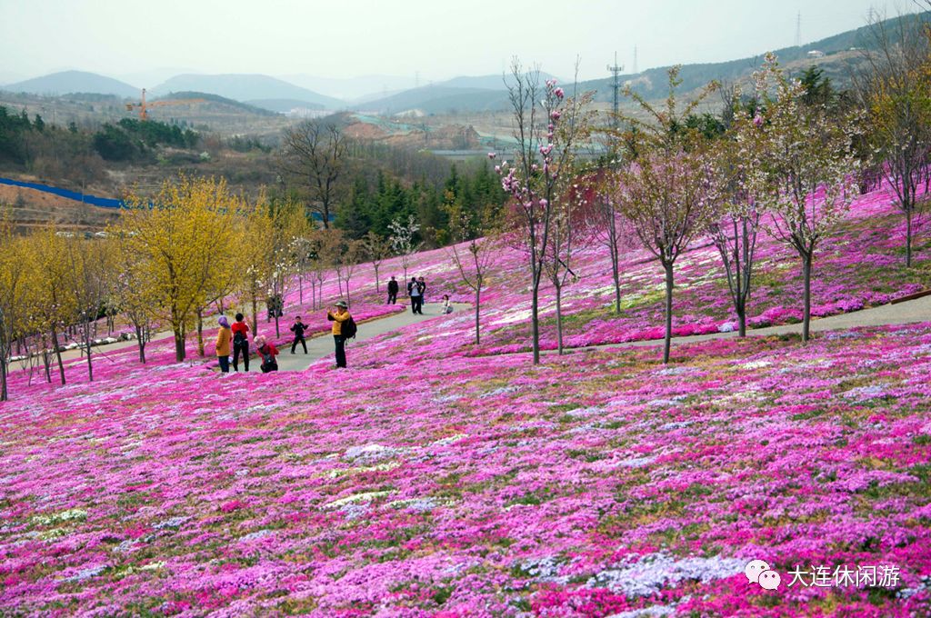 英歌石植物园怎么去,英歌石植物园公交线路