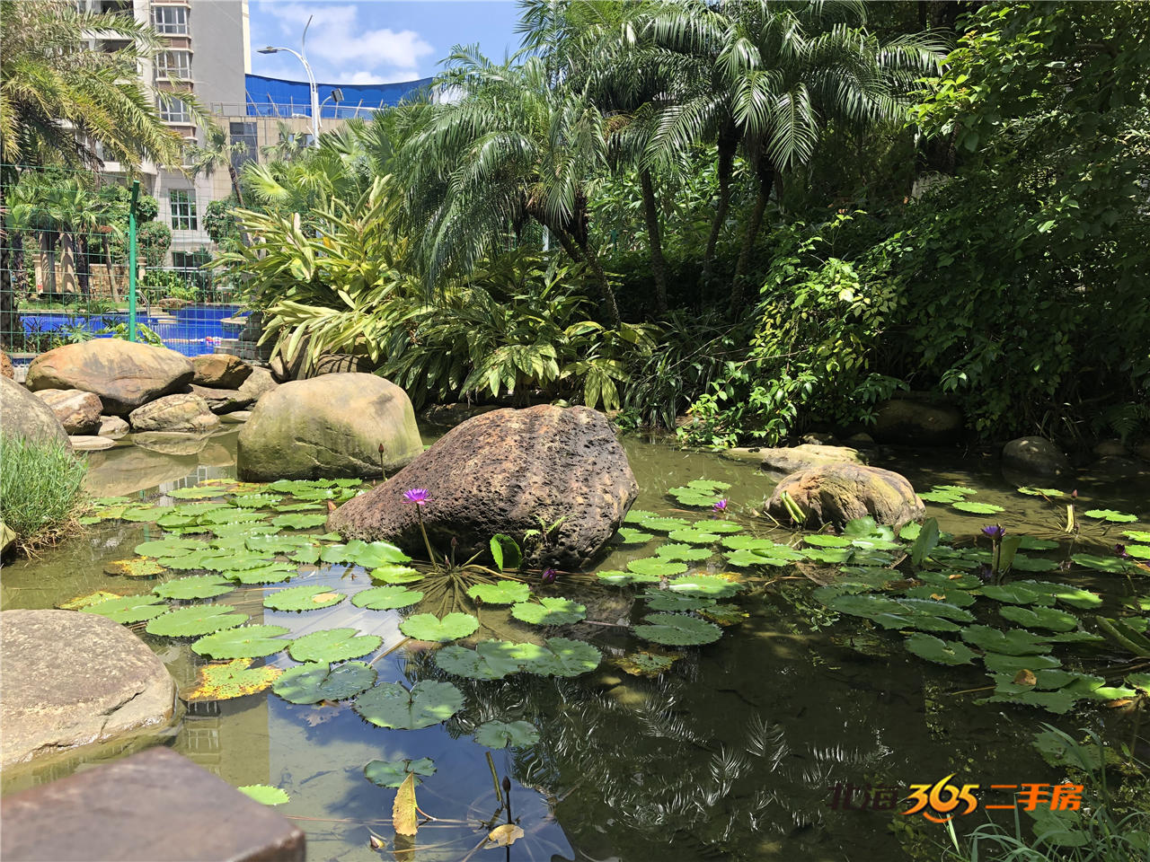 北海银城绿洲小区属于哪个社区,北海市星海名城365二手房测评