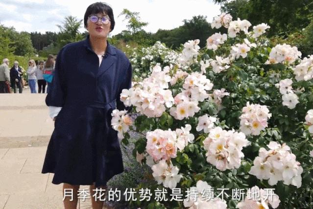 曾是电脑城销售，12年后坐拥60亩私家花园，137万网友跟她看春天