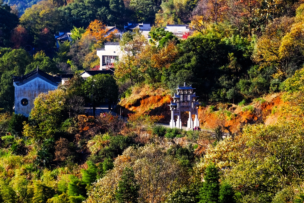 婺源篁岭梯田花海,婺源篁岭欢乐颂