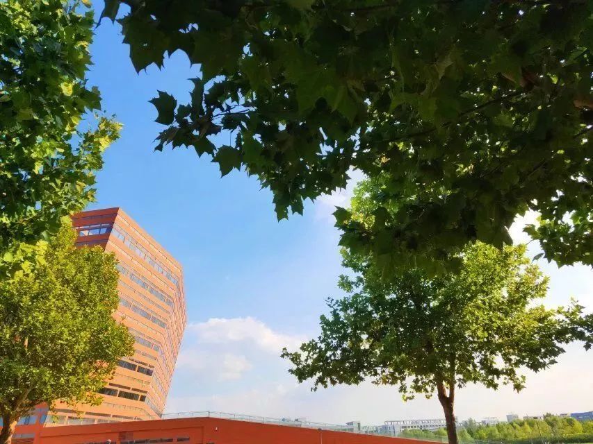 河北工业大学在天津就业,河北工业大学毕业生就业情况