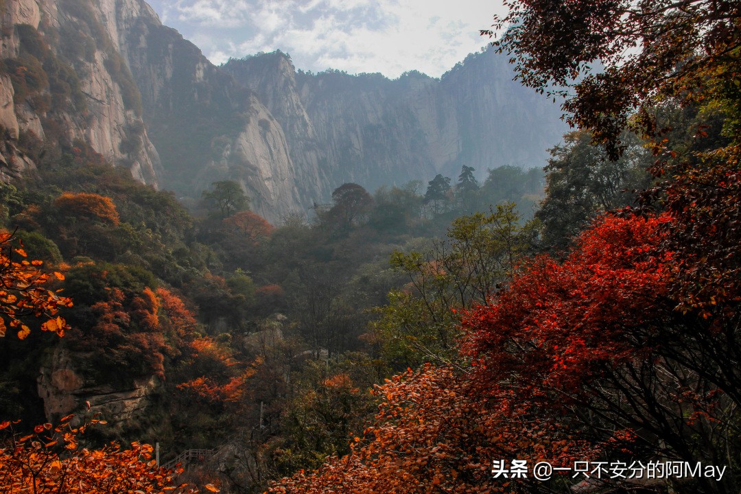 为什么爬华山都是夜爬,华山自古一条道很有必要爬吗