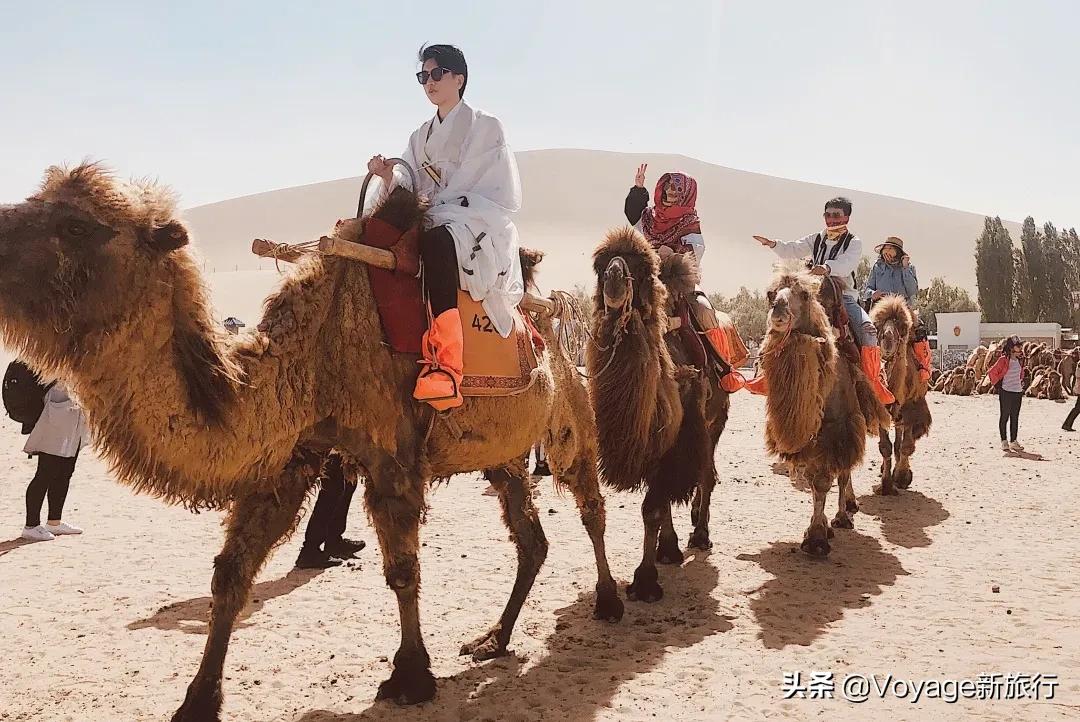 我们采访了6位旅行KOL，靠环游世界爆火还赚钱，太让人眼红了！