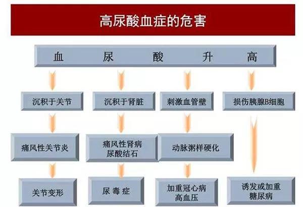 痛风过后尿酸高要终身吃药吗,尿酸高痛风吃药降低到多少停药