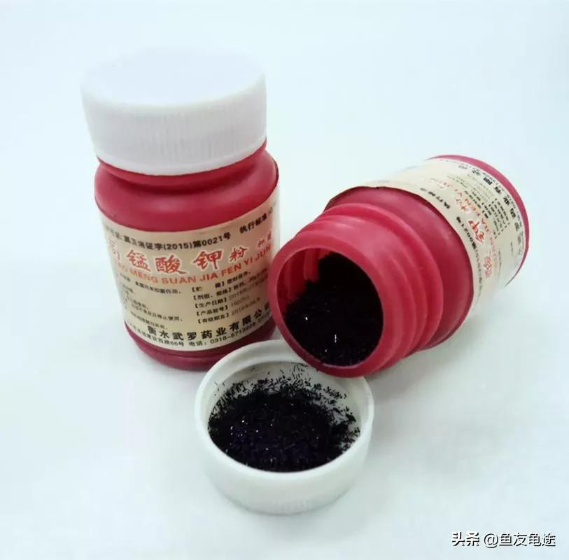 金鱼烂鳍烂尾用什么药治疗,金鱼烂尾烂鳍怎么治疗