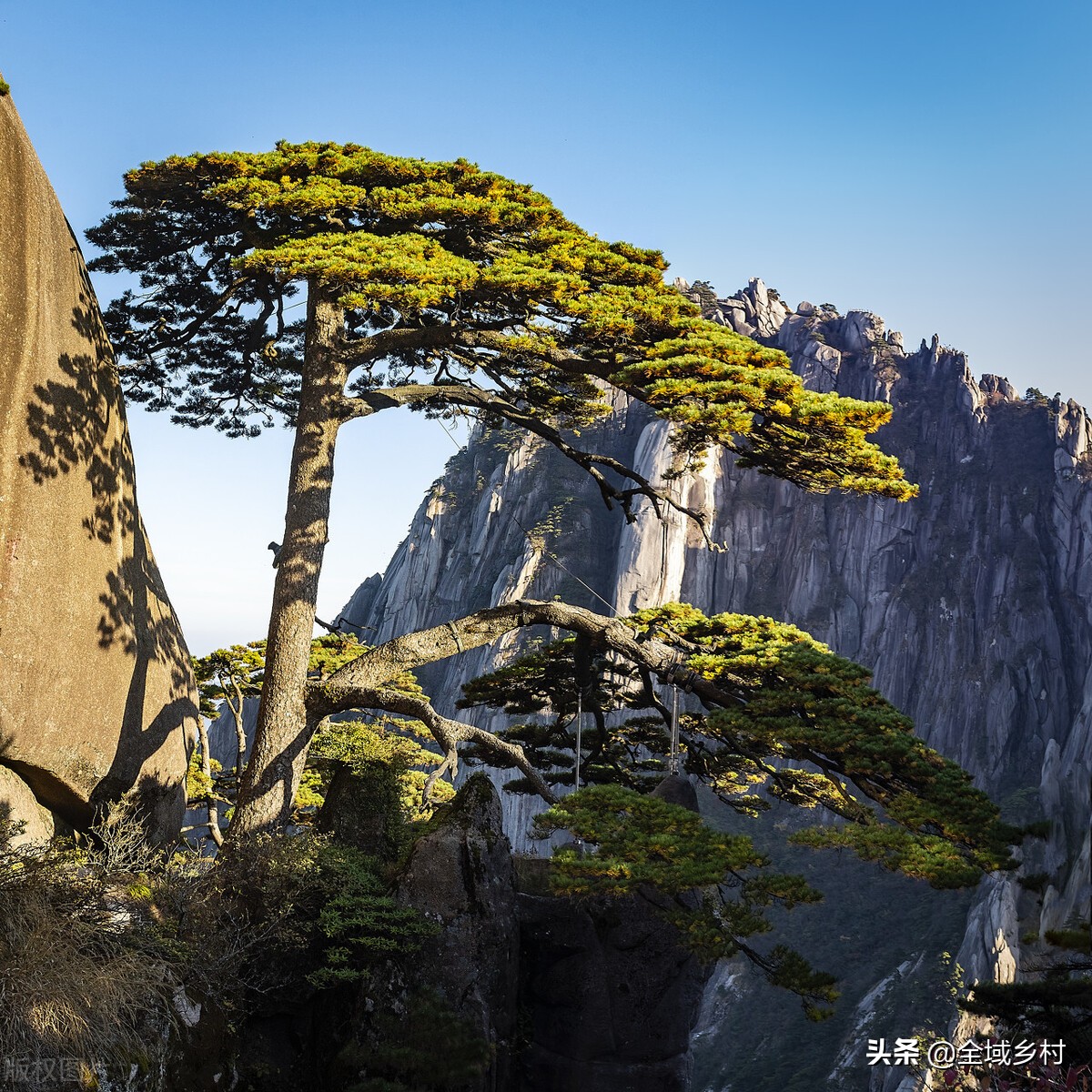 黄山有多美？到底美在哪里？黄山景色比画还美