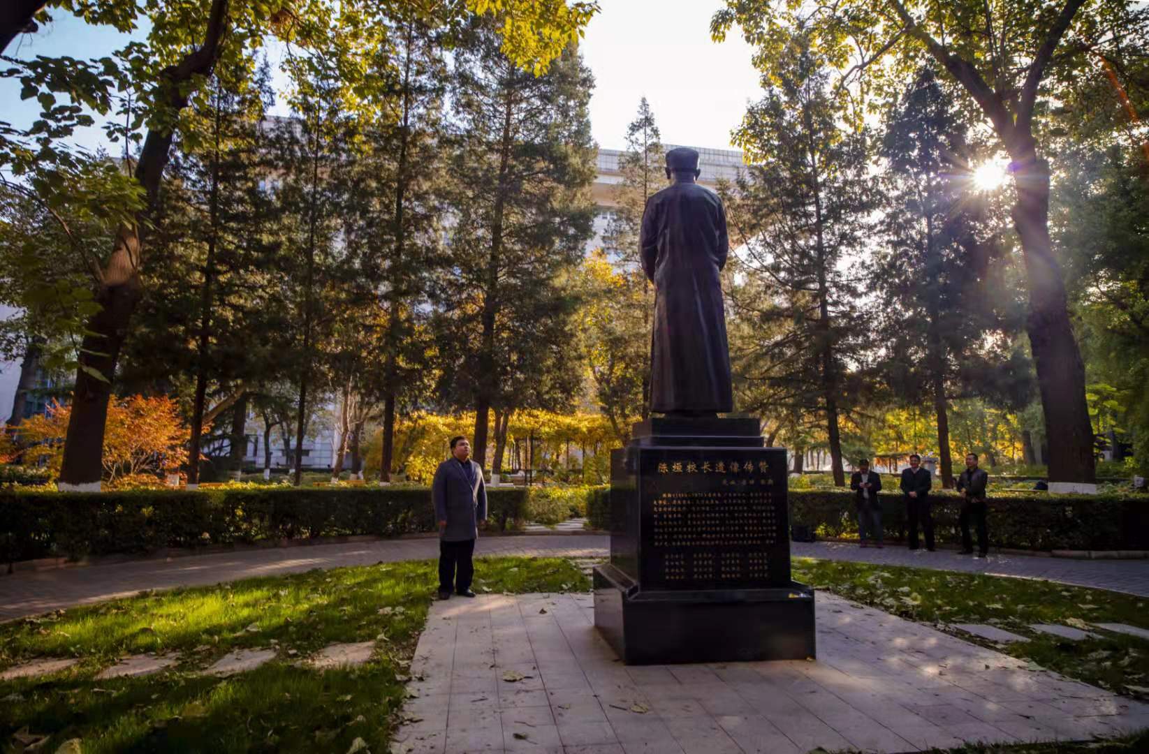 尽好本分,笑看传奇——三评杨如风《小龙三背》