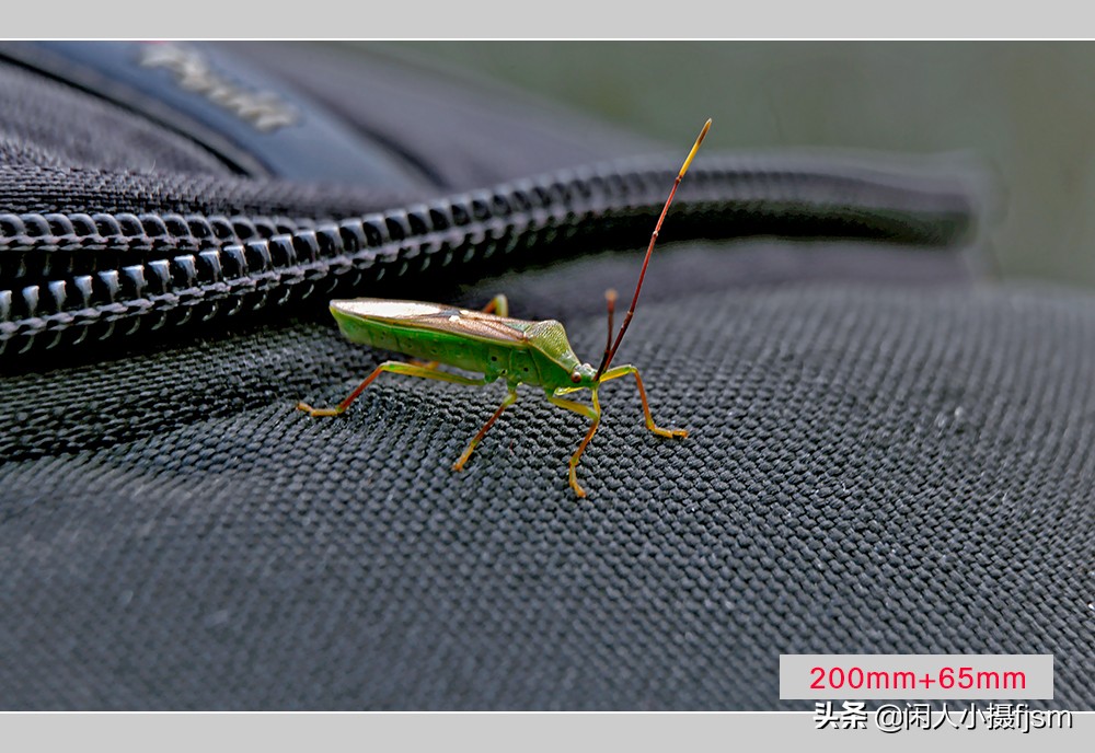 摄影三要素曝光对焦基础知识,广角的拍摄技巧及使用方法