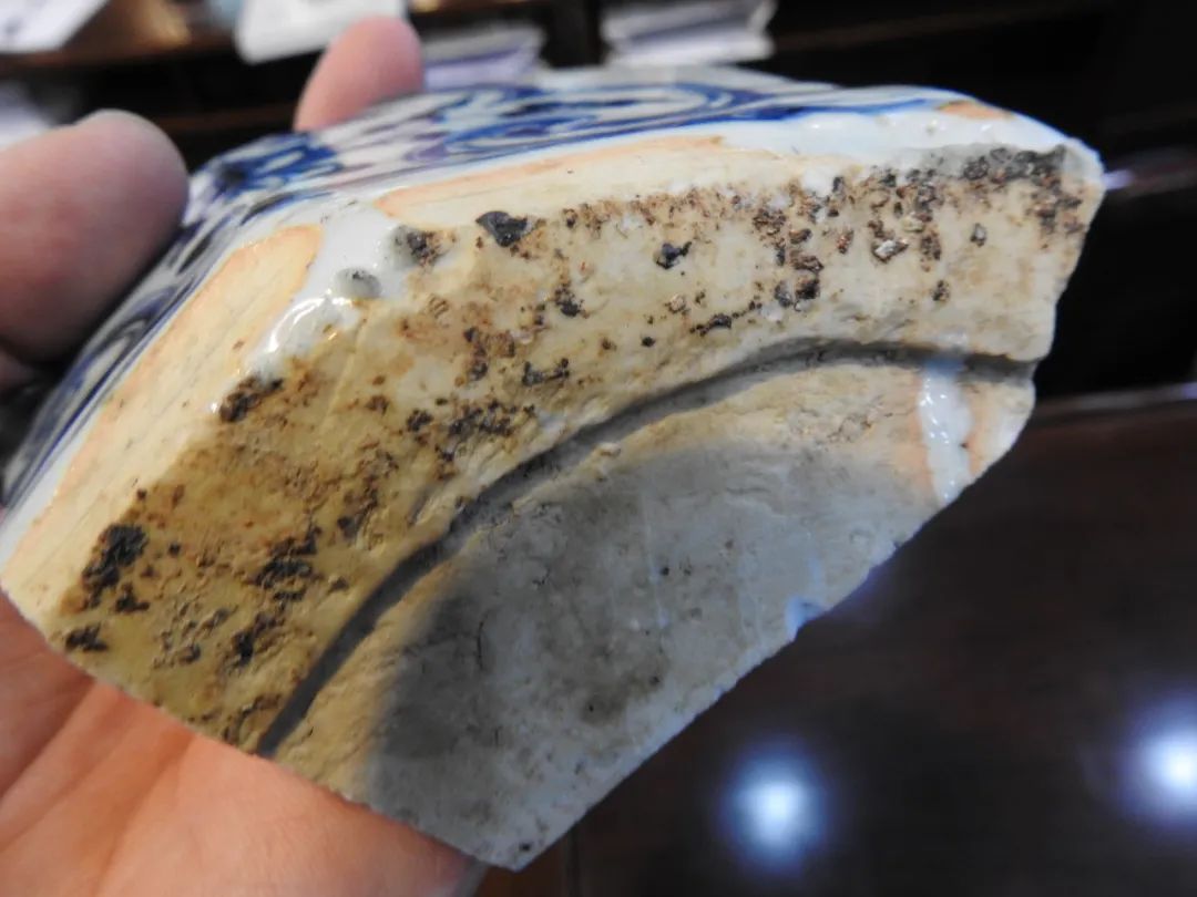 鍏冮潚鑺卞寽鐪熷搧鐗瑰緛,姘戠獞鍏冮潚鑺辩鐗瑰緛