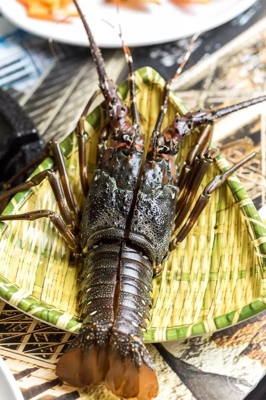 桥东爆出一锅「豪华花胶鸡」排队也要吃！还藏着一个海鲜市集