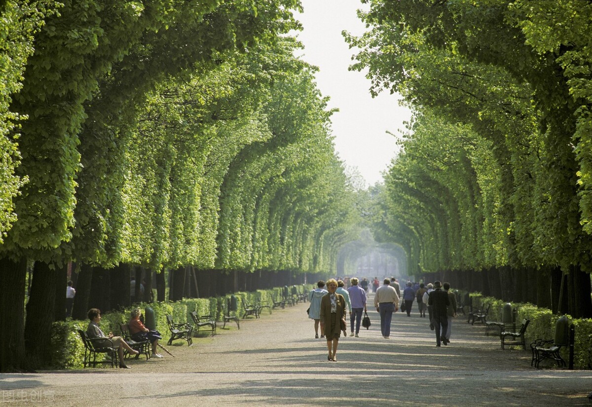 鸿星尔克一夜掉十万粉,鸿星尔克30天掉粉29万