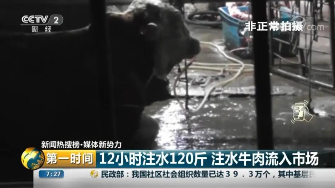 牛年吃牛肉牛气冲天,牛气冲天砂锅牛肉