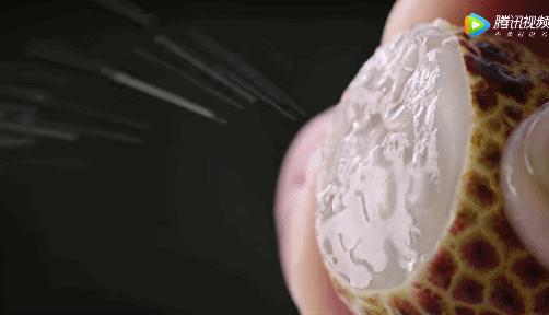 所有人都想请他来东莞拍「肉戏」