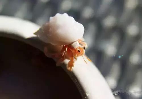 渔民海鲜大全,渔民整理的海鲜河鲜大全