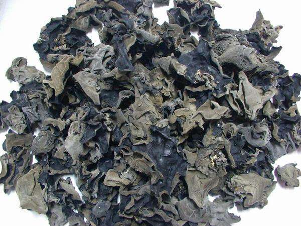 干木耳怎么选视频,干木耳挑选方法