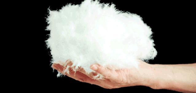 <html>
<head><title>502BadGateway</title></head>
<body>
<center><h1>502BadGateway</h1></center>
<hr><center>nginx</center>
</body>
</html>
<!--apaddingtodisableMSIEandChromefriendlyerrorpage-->
<!--apaddingtodisableMSIEandChromefriendlyerrorpage-->
<!--apaddingtodisableMSIEandChromefriendlyerrorpage-->
<!--apaddingtodisableMSIEandChromefriendlyerrorpage-->
<!--apaddingtodisableMSIEandChromefriendlyerrorpage-->
<!--apaddingtodisableMSIEandChromefriendlyerrorpage-->
