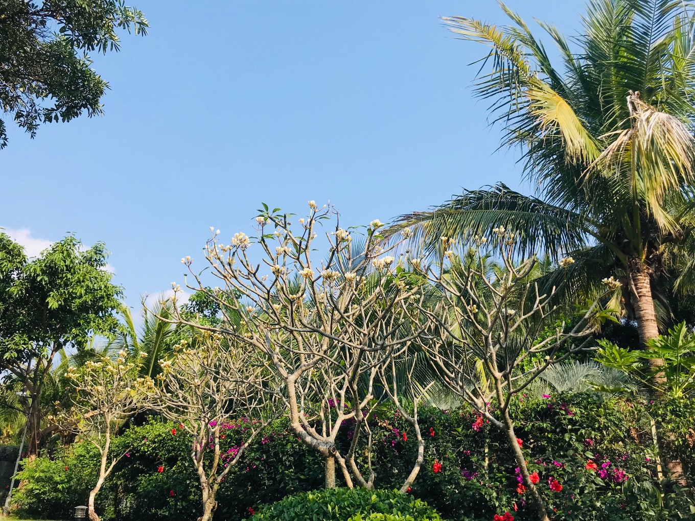 三亚躲台风,三亚避寒15天游玩攻略