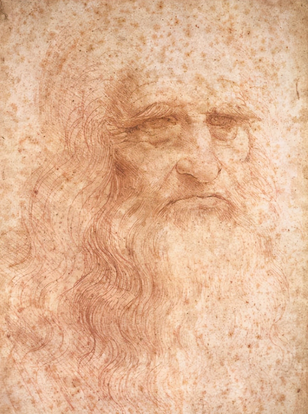 达芬奇绝无仅有的旷世奇才,奇人技能