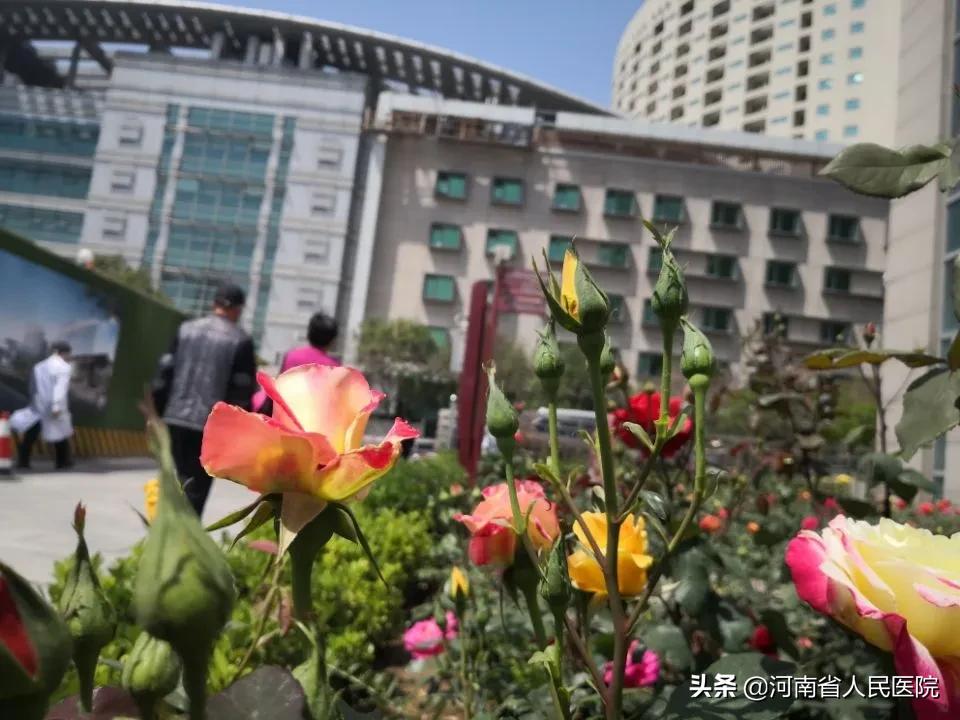 防晒霜spf和fps的区别,防晒霜spfp