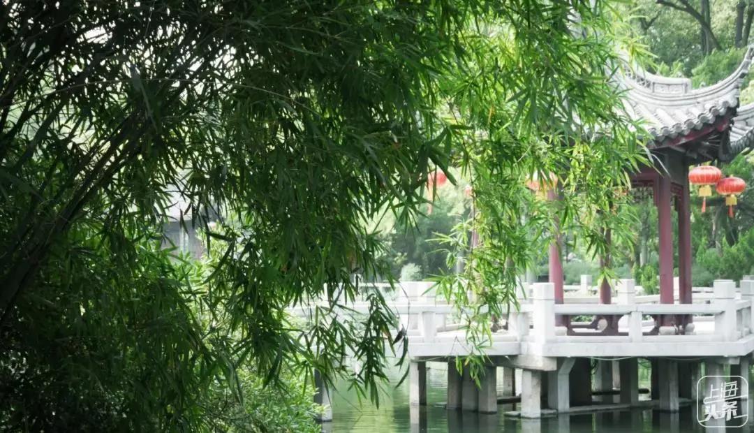 适合拍的古风景点,上海最值得拍照十条街